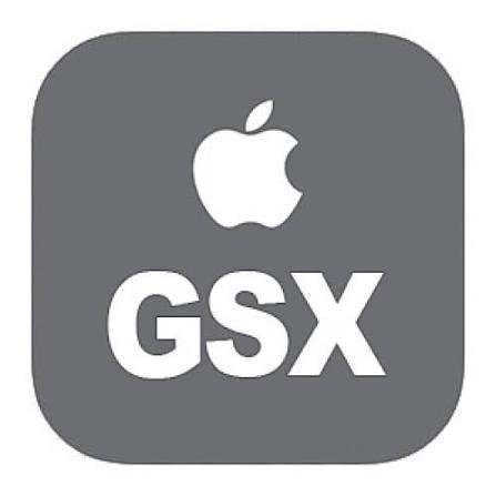 GSX Case History Only (Instant)